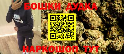 МДПВ Бердск