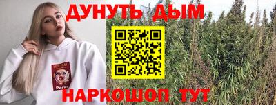 МДПВ Бердск