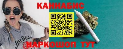 МДПВ Бердск