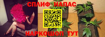 соль ск Белореченск