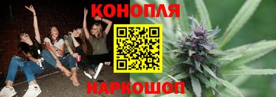 МДПВ Бердск