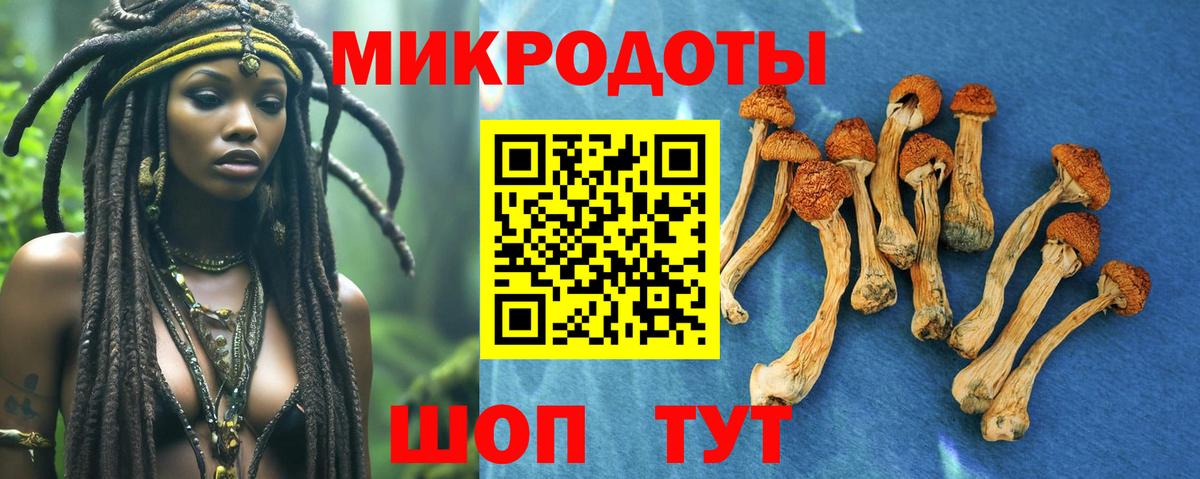 Богородицк  Псилоцибиновые грибы Psilocybine cubensis  Вход с VPN  Галлюциногенные грибы Magic Shrooms 